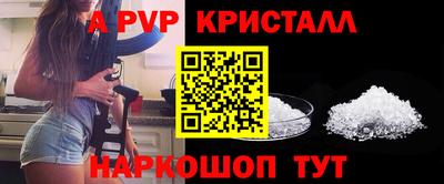 гашик Нальчик