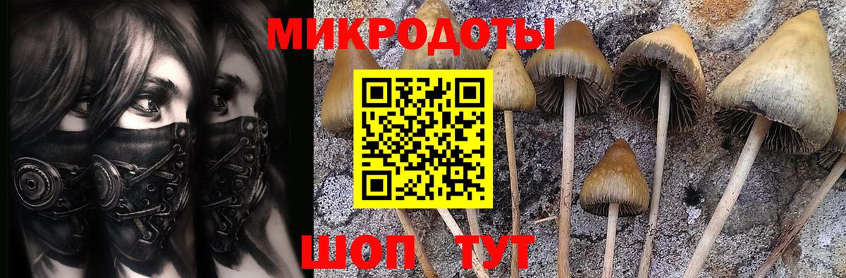 Галлюциногенные грибы ЛСД  Псилоцибиновые грибы Magic Shrooms  Родники  Вход с VPN 