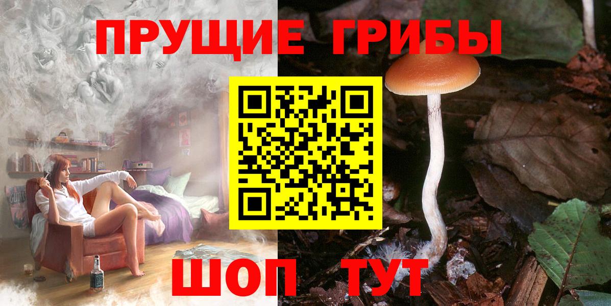 Псилоцибиновые грибы MAGIC MUSHROOMS Родники